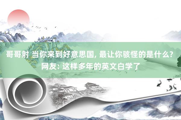 哥哥射 当你来到好意思国, 最让你骇怪的是什么? 网友: 这样多年的英文白学了