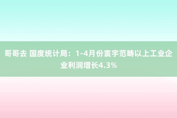 哥哥去 国度统计局：1-4月份寰宇范畴以上工业企业利润增长4.3%