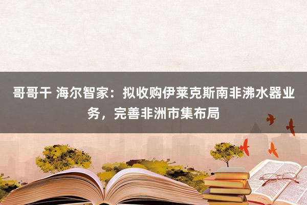 哥哥干 海尔智家：拟收购伊莱克斯南非沸水器业务，完善非洲市集布局