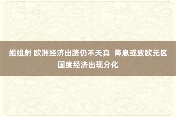 姐姐射 欧洲经济出路仍不天真  降息或致欧元区国度经济出现分化