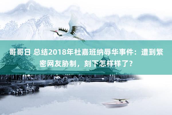 哥哥日 总结2018年杜嘉班纳辱华事件：遭到繁密网友胁制，刻下怎样样了？