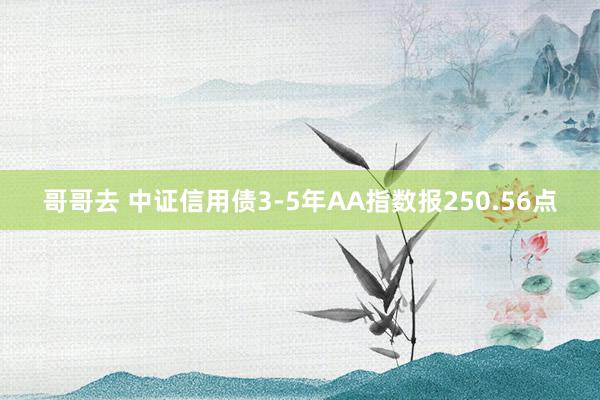 哥哥去 中证信用债3-5年AA指数报250.56点