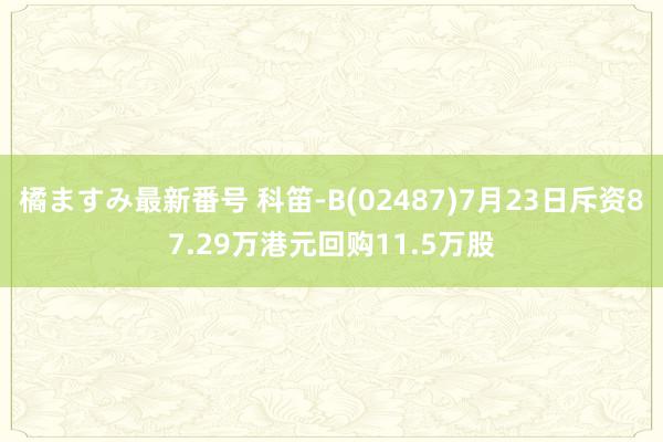 橘ますみ最新番号 科笛-B(02487)7月23日斥资87.29万港元回购11.5万股