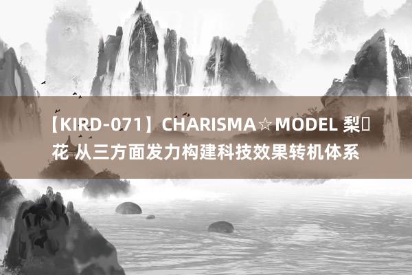 【KIRD-071】CHARISMA☆MODEL 梨々花 从三方面发力构建科技效果转机体系