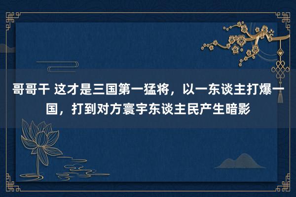 哥哥干 这才是三国第一猛将，以一东谈主打爆一国，打到对方寰宇东谈主民产生暗影