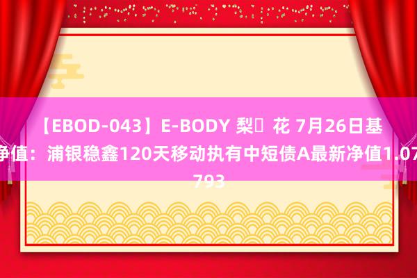 【EBOD-043】E-BODY 梨々花 7月26日基金净值：浦银稳鑫120天移动执有中短债A最新净值1.0793