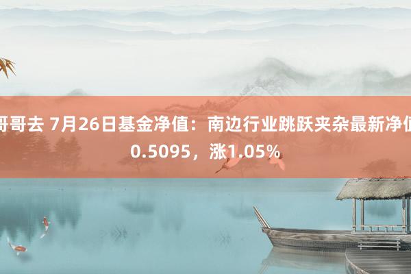 哥哥去 7月26日基金净值：南边行业跳跃夹杂最新净值0.5095，涨1.05%