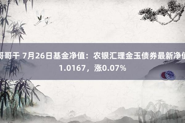 哥哥干 7月26日基金净值：农银汇理金玉债券最新净值1.0167，涨0.07%