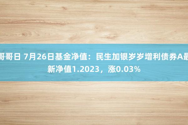 哥哥日 7月26日基金净值：民生加银岁岁增利债券A最新净值1.2023，涨0.03%