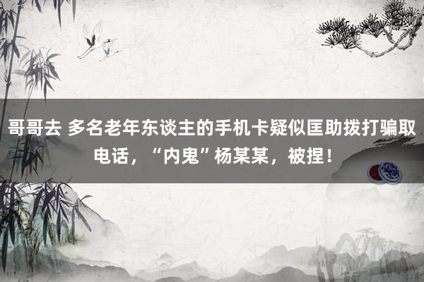 哥哥去 多名老年东谈主的手机卡疑似匡助拨打骗取电话，“内鬼”杨某某，被捏！