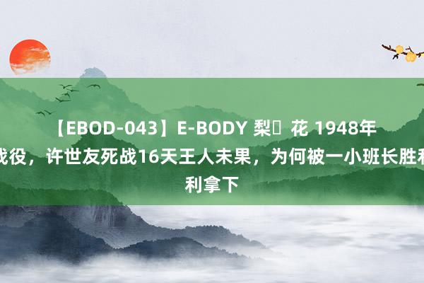 【EBOD-043】E-BODY 梨々花 1948年潍县战役，许世友死战16天王人未果，为何被一小班长胜利拿下