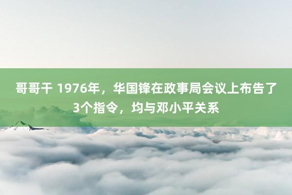 哥哥干 1976年，华国锋在政事局会议上布告了3个指令，均与邓小平关系