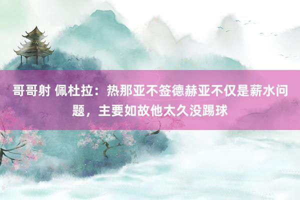 哥哥射 佩杜拉：热那亚不签德赫亚不仅是薪水问题，主要如故他太久没踢球