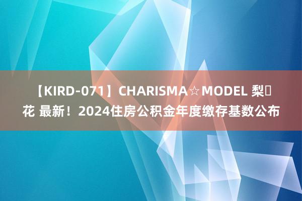 【KIRD-071】CHARISMA☆MODEL 梨々花 最新！2024住房公积金年度缴存基数公布