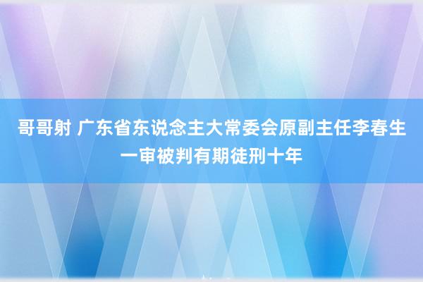 哥哥射 广东省东说念主大常委会原副主任李春生一审被判有期徒刑十年