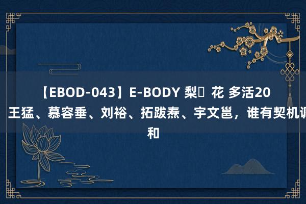 【EBOD-043】E-BODY 梨々花 多活20年，王猛、慕容垂、刘裕、拓跋焘、宇文邕，谁有契机调和