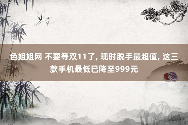 色姐姐网 不要等双11了, 现时脱手最超值, 这三款手机最低已降至999元