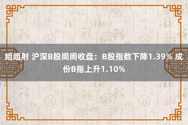 姐姐射 沪深B股阛阓收盘：B股指数下降1.39% 成份B指上升1.10%