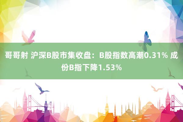 哥哥射 沪深B股市集收盘：B股指数高潮0.31% 成份B指下降1.53%