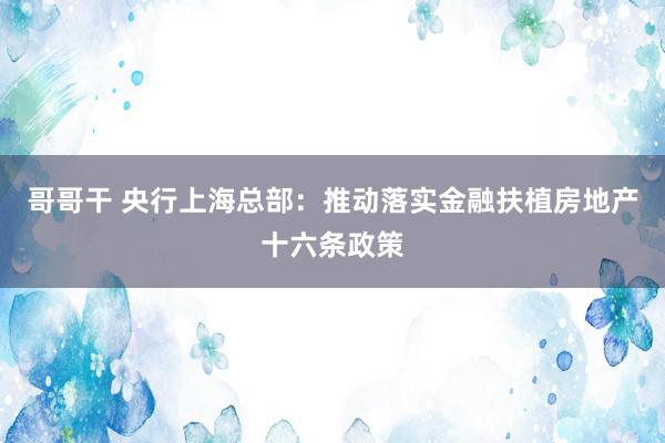 哥哥干 央行上海总部：推动落实金融扶植房地产十六条政策