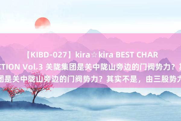 【KIBD-027】kira☆kira BEST CHARISMA☆MODEL☆COLLECTION Vol.3 关陇集团是关中陇山旁边的门阀势力？其实不是，由三股势力组成