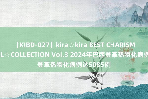 【KIBD-027】kira☆kira BEST CHARISMA☆MODEL☆COLLECTION Vol.3 2024年巴西登革热物化病例达5085例