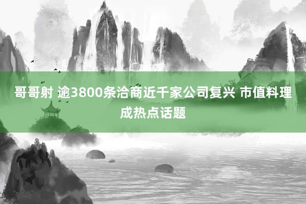 哥哥射 逾3800条洽商近千家公司复兴 市值料理成热点话题