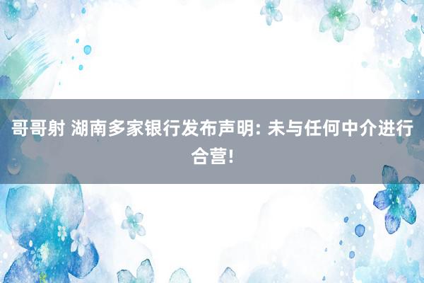 哥哥射 湖南多家银行发布声明: 未与任何中介进行合营!