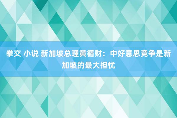 拳交 小说 新加坡总理黄循财：中好意思竞争是新加坡的最大担忧