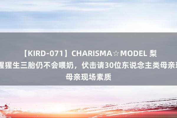 【KIRD-071】CHARISMA☆MODEL 梨々花 母猩猩生三胎仍不会喂奶，伏击请30位东说念主类母亲现场素质