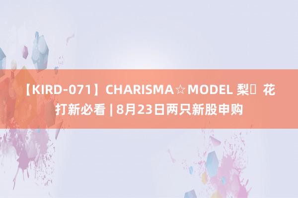 【KIRD-071】CHARISMA☆MODEL 梨々花 打新必看 | 8月23日两只新股申购