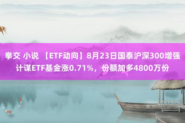 拳交 小说 【ETF动向】8月23日国泰沪深300增强计谋ETF基金涨0.71%，份额加多4800万份