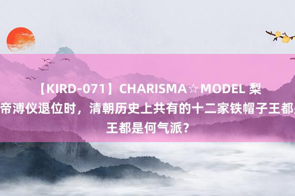 【KIRD-071】CHARISMA☆MODEL 梨々花 清末帝溥仪退位时，清朝历史上共有的十二家铁帽子王都是何气派？